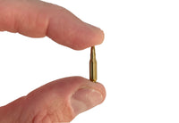 AK12 Dummy Rounds (15)