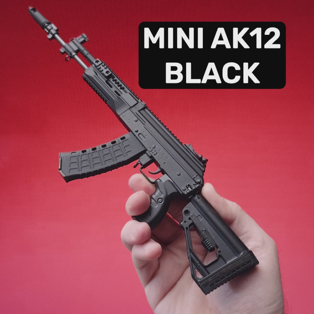 AK12 Model - Black