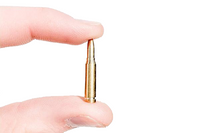 .50 cal Dummy Rounds (10)