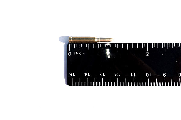 .50 cal Dummy Rounds (10)